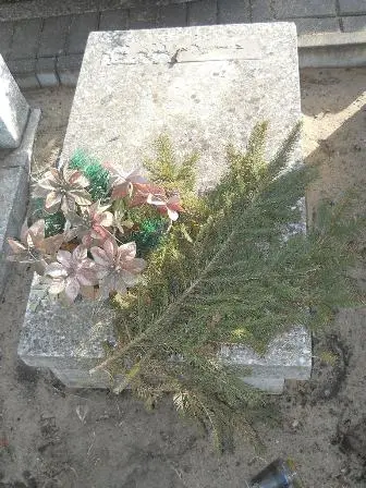 Zdjęcie grobu 100/100