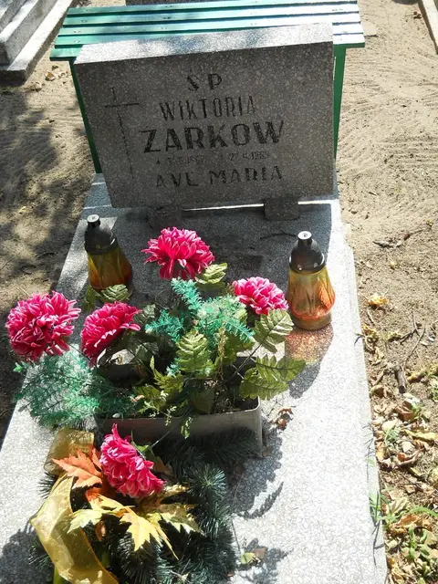 Zdjęcie grobu 18/28373