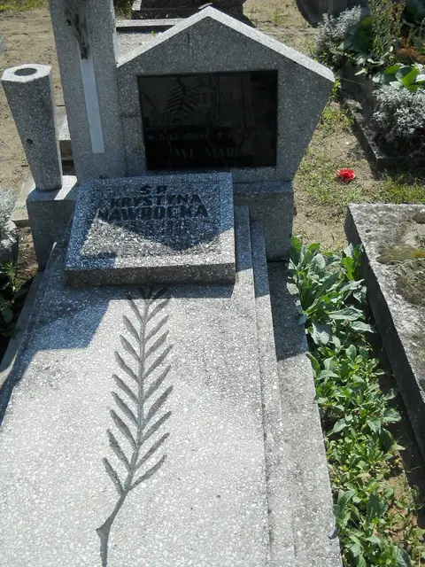 Zdjęcie grobu 14/27494