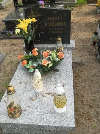 Zdjęcie grobu 33/100