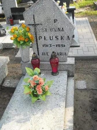 Zdjęcie grobu 9a/153