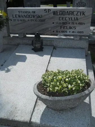 Zdjęcie grobu 25/62,63