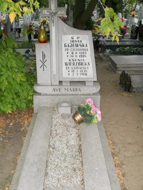 Zdjęcie grobu 18/29068