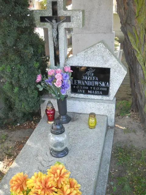 Zdjęcie grobu 5/24045