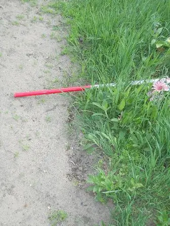 Zdjęcie grobu 44/100