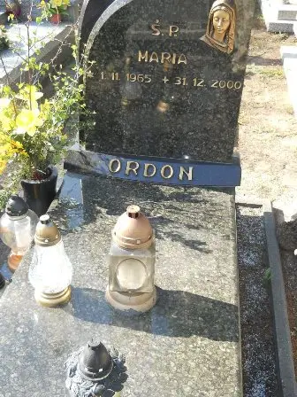 Zdjęcie grobu 24/100
