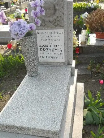 Zdjęcie grobu 7/100