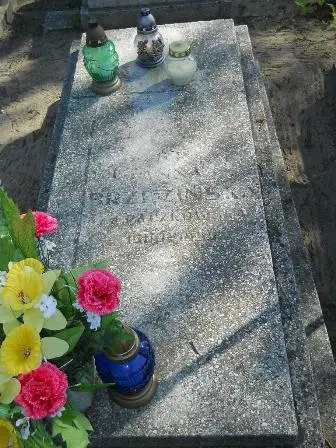 Zdjęcie grobu 28/100