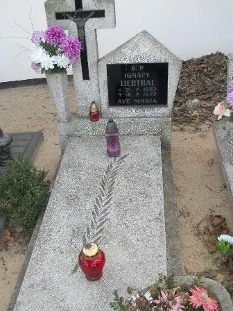 Zdjęcie grobu 8/158
