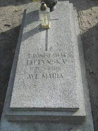 Zdjęcie grobu 15/120