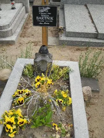 Zdjęcie grobu 22/100