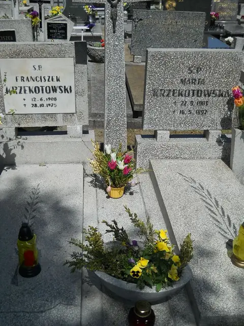 Zdjęcie grobu 8A/10181
