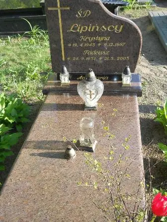 Zdjęcie grobu 45/115