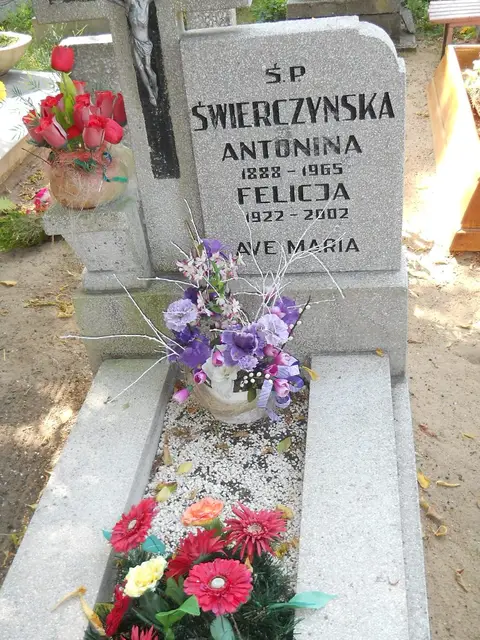 Zdjęcie grobu 17/28177