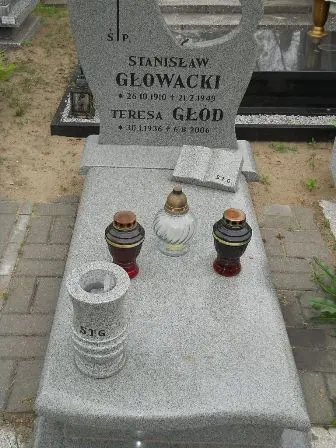 Zdjęcie grobu 22/100