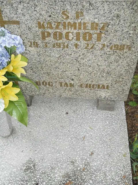 Zdjęcie grobu 24/23246