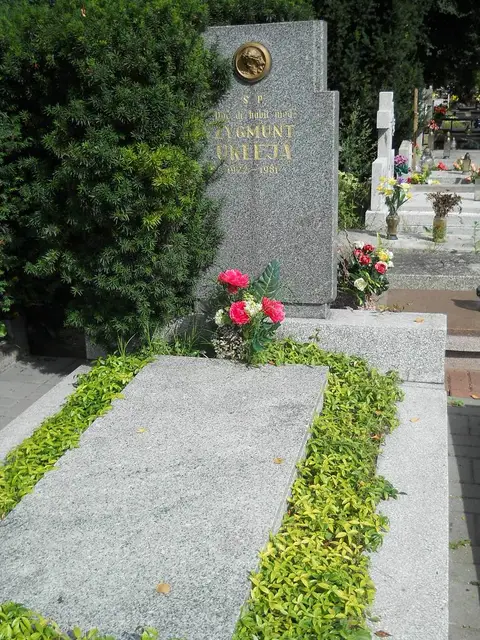 Zdjęcie grobu 9/24111