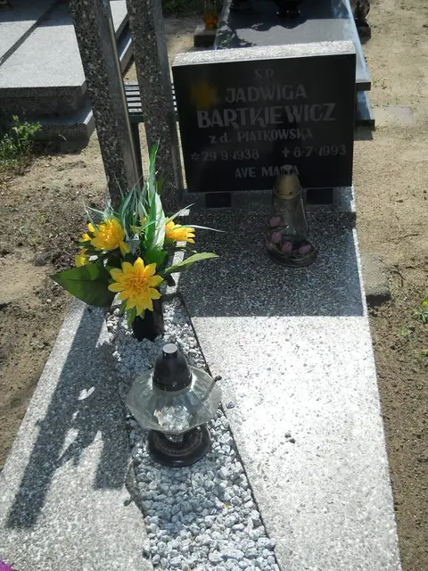 Zdjęcie grobu 18/28330