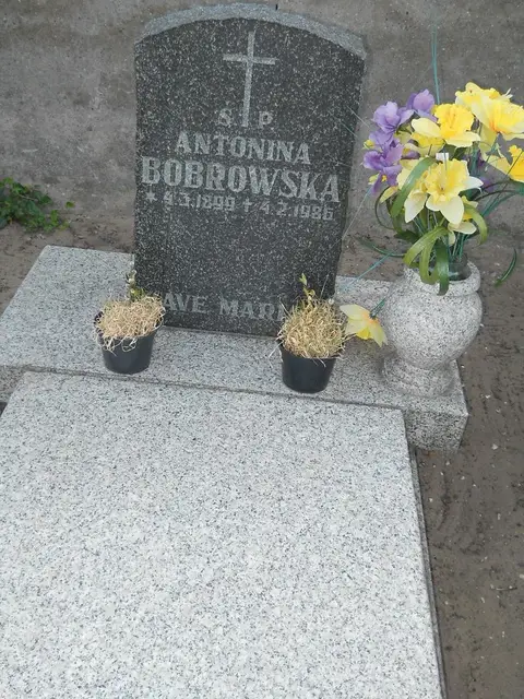 Zdjęcie grobu 20/12242