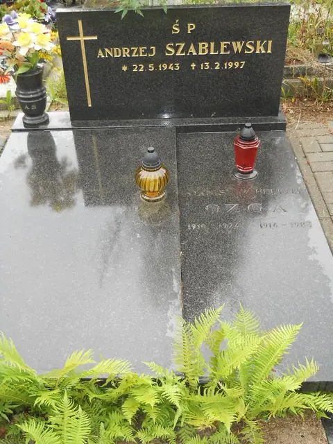 Zdjęcie grobu 14/26084
