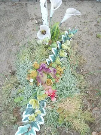 Zdjęcie grobu 7b/100