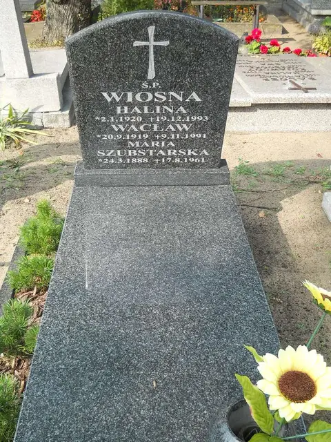 Zdjęcie grobu 16/26456