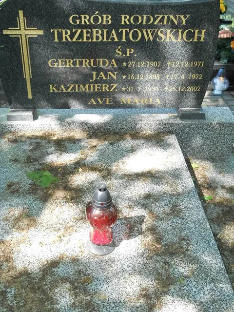 Zdjęcie grobu 8A/10327