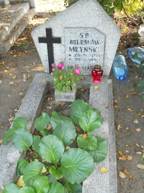 Zdjęcie grobu 15/26727