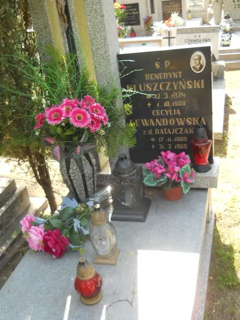 Zdjęcie grobu 18/28269