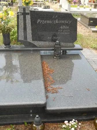 Zdjęcie grobu 40/100