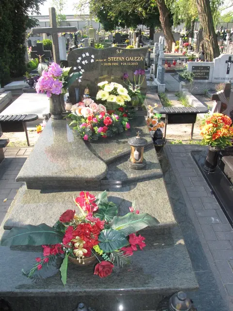 Zdjęcie grobu 6/24278