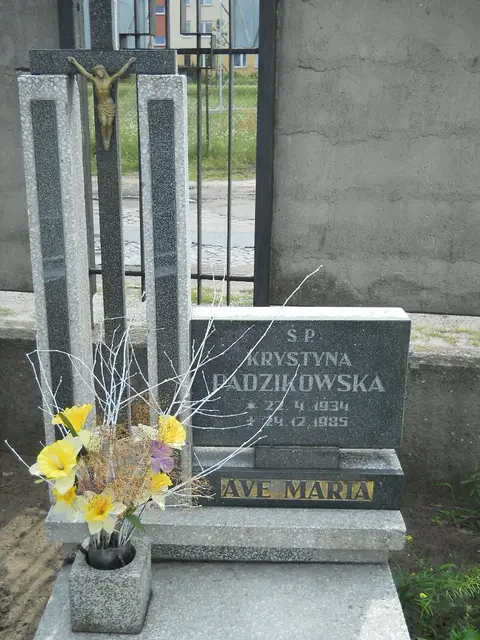 Zdjęcie grobu 26/22741