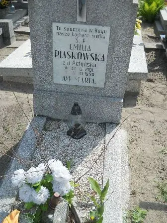 Zdjęcie grobu 25/246