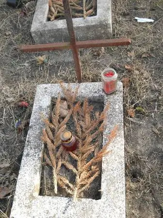 Zdjęcie grobu 100/100