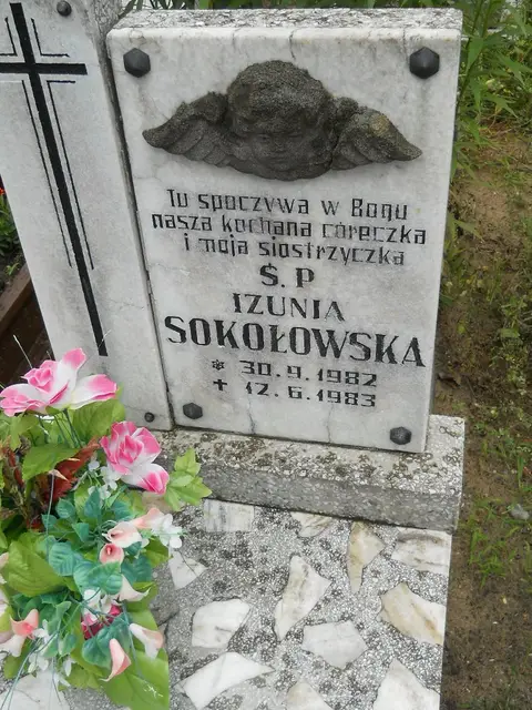 Zdjęcie grobu 21/23892