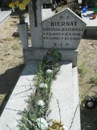 Zdjęcie grobu 46/101