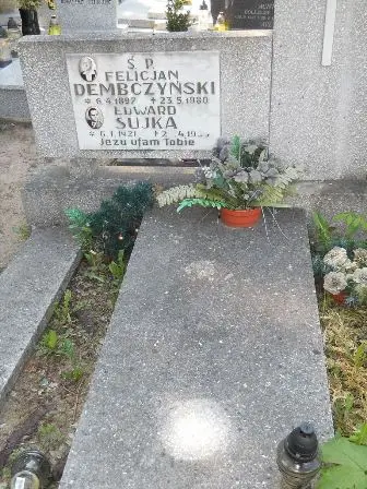Zdjęcie grobu 35/376.377