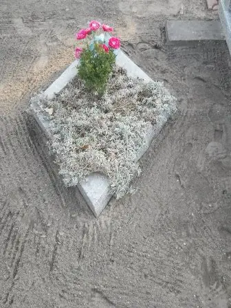 Zdjęcie grobu 4/100