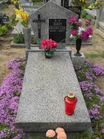 Zdjęcie grobu 34/208