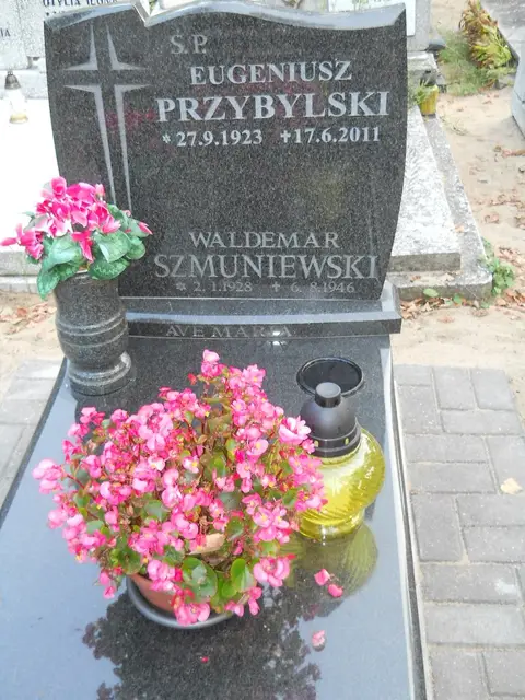 Zdjęcie grobu 14/26875