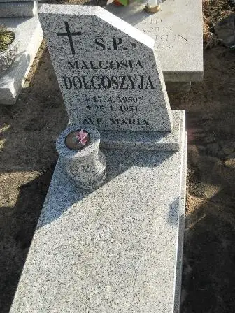 Zdjęcie grobu 100/100