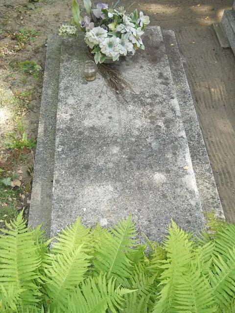 Zdjęcie grobu 6/24267