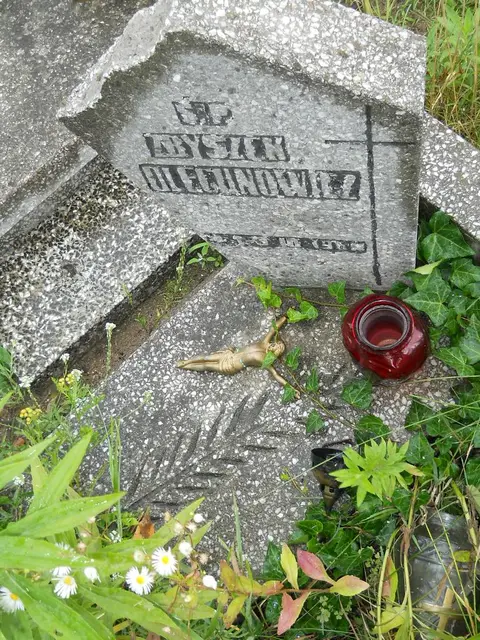 Zdjęcie grobu 21/23899