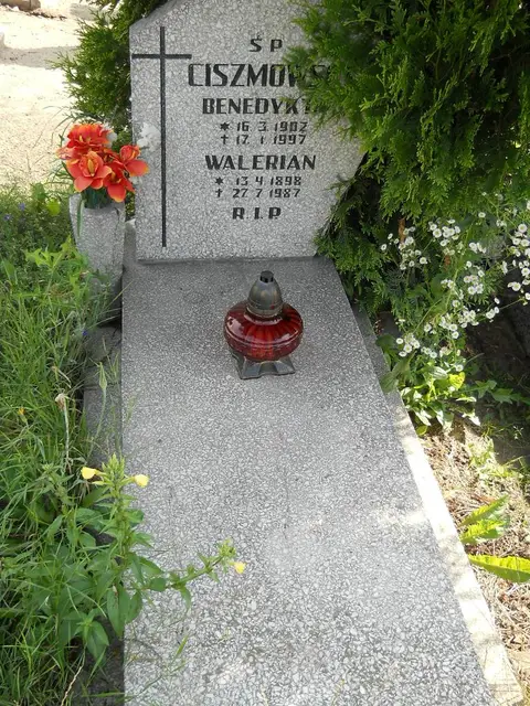 Zdjęcie grobu 27/22980