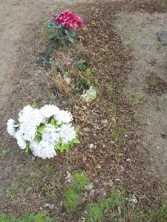 Zdjęcie grobu 44/100
