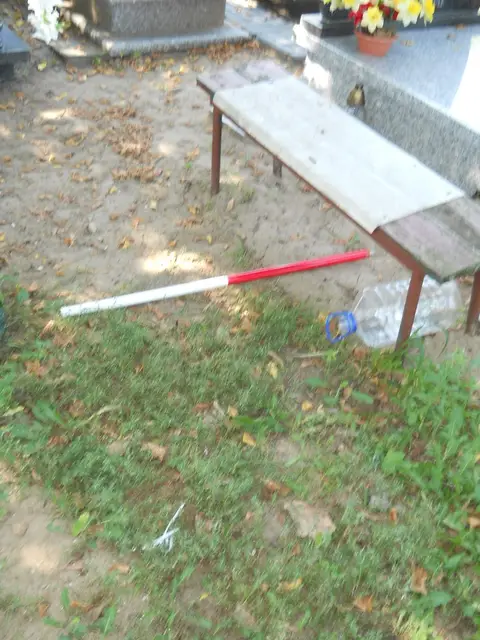 Zdjęcie grobu 14/27182