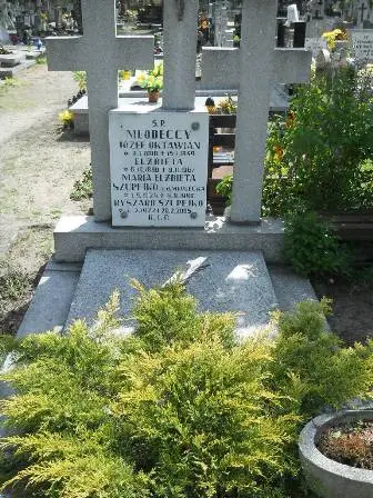 Zdjęcie grobu C/12,12a