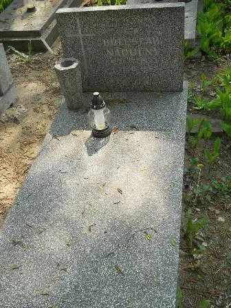 Zdjęcie grobu 30/100