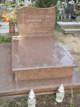 Zdjęcie grobu 33/100