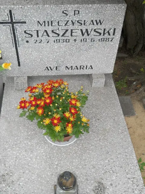 Zdjęcie grobu 27/23209